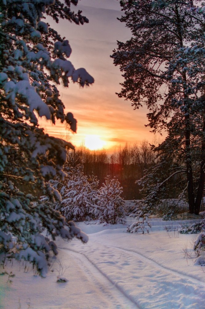 Photograph by Сергей Грицков