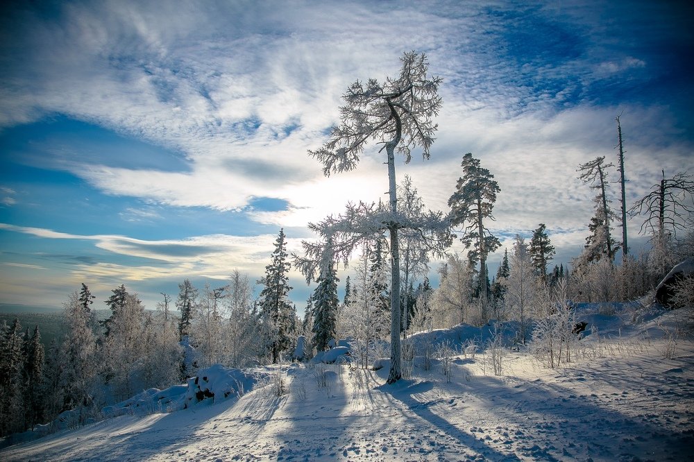 Photograph by Юлия Сухачева