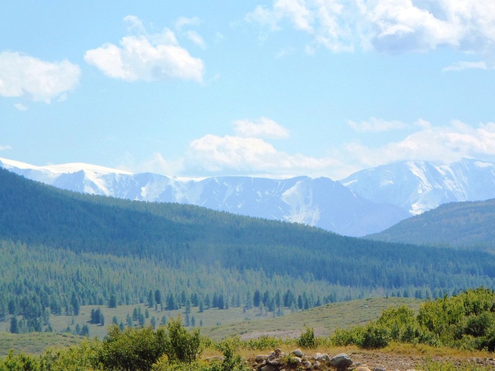 Photograph by Ирина