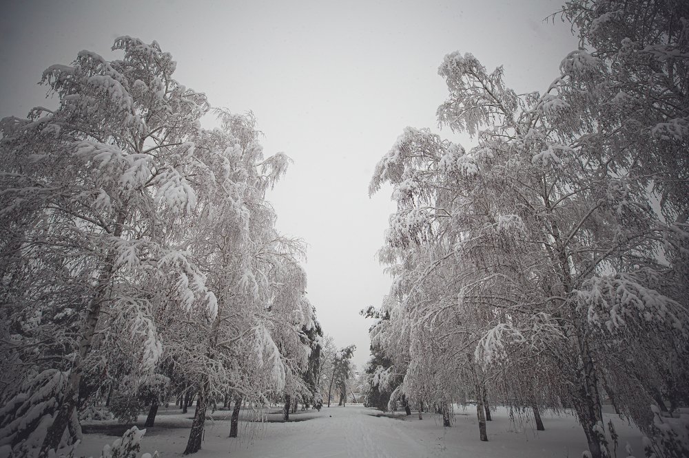 Photograph by Кристина Дугина