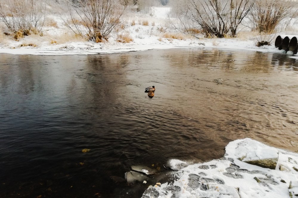 Photograph by Людмила Зяблова