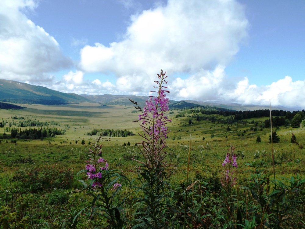 Photograph by Ирина