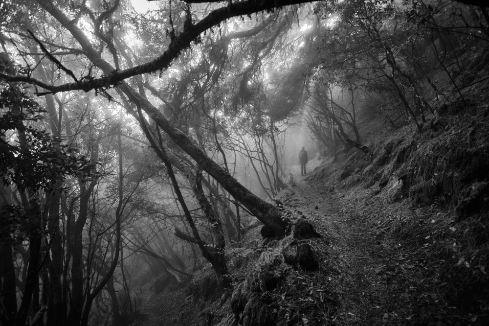 Photograph by Manuel