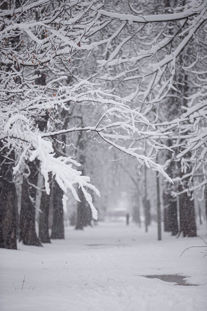 Photograph by Кристина Дугина