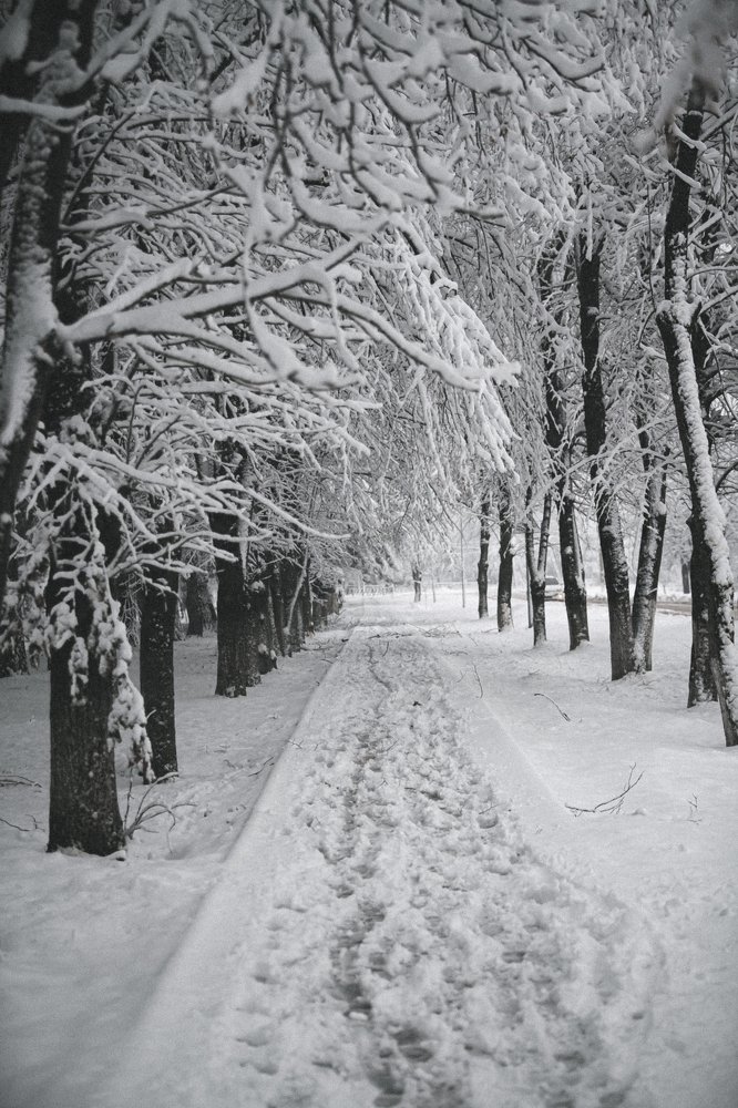 Photograph by Кристина Дугина