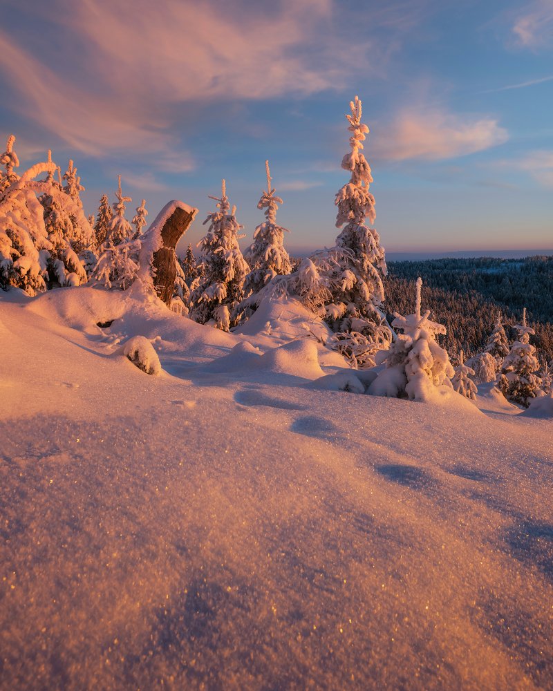 Magical winter morning