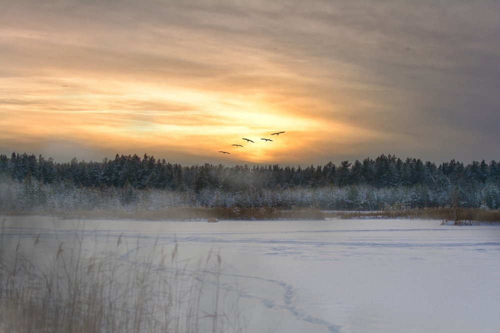 Photograph by Сергей Грицков