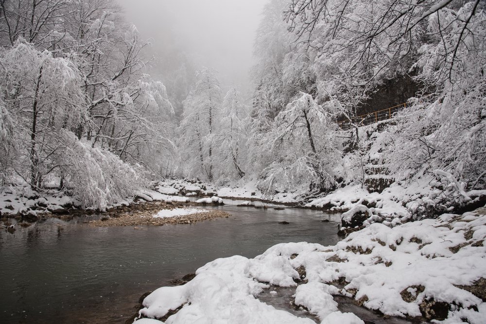 Photograph by Михаил Кравченко