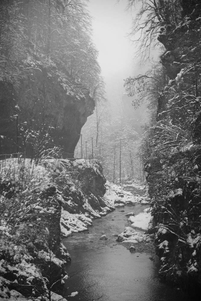 Photograph by Михаил Кравченко