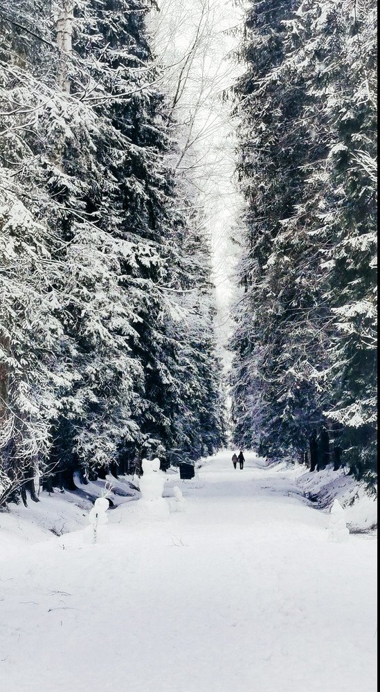 Photograph by Лукина Наталья