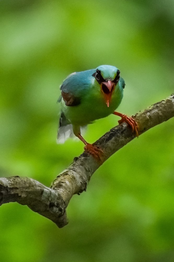 Photograph by Pinak Paul