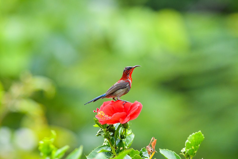 Photograph by son dam minh