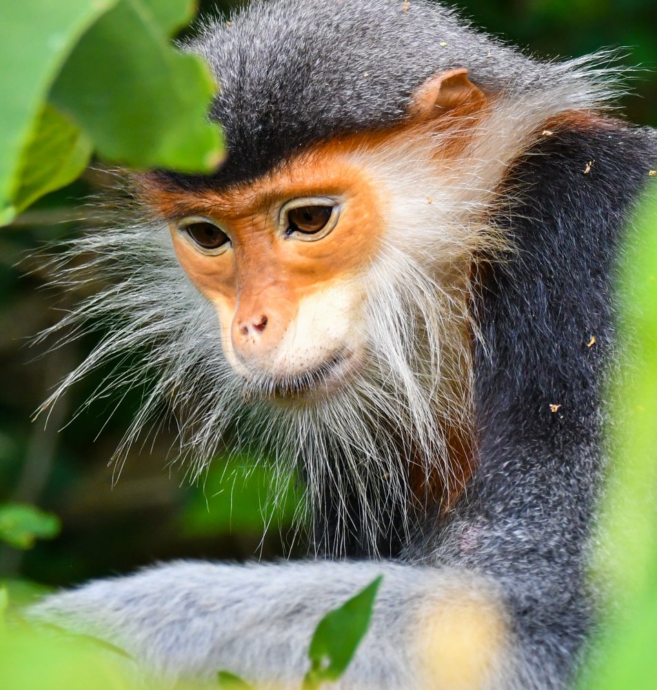 Photograph by son dam minh