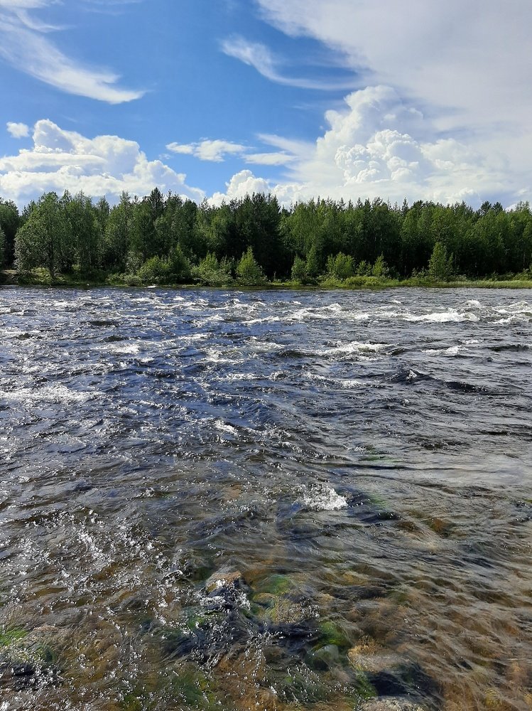 Photograph by Алина Голубева