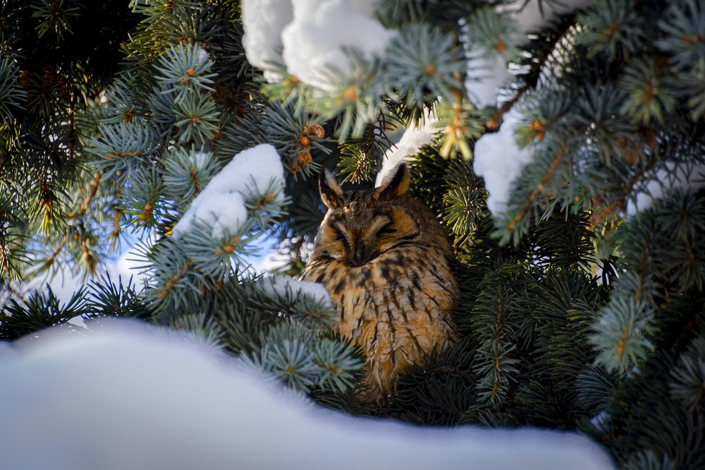 Photograph by Сергей Нестеренко