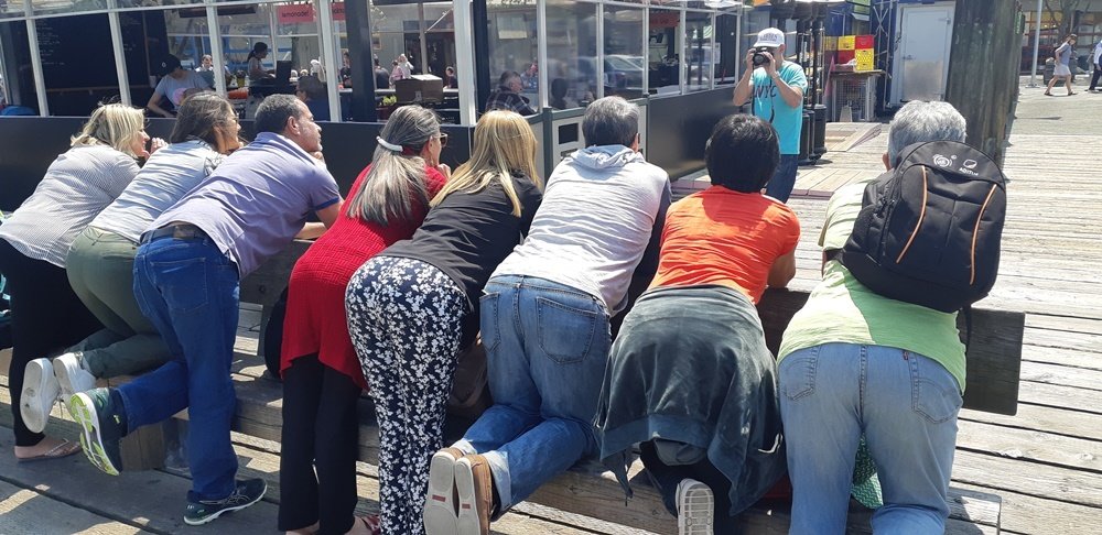 Photograph by Agrinaldo Caires da Fonseca