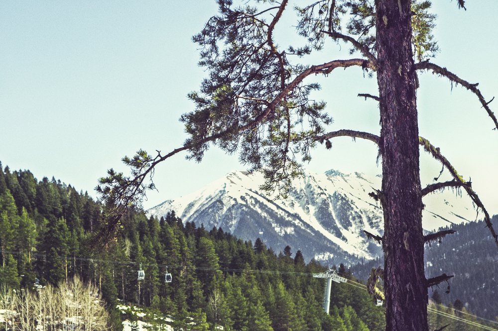 Photograph by Виталий Бондаренко