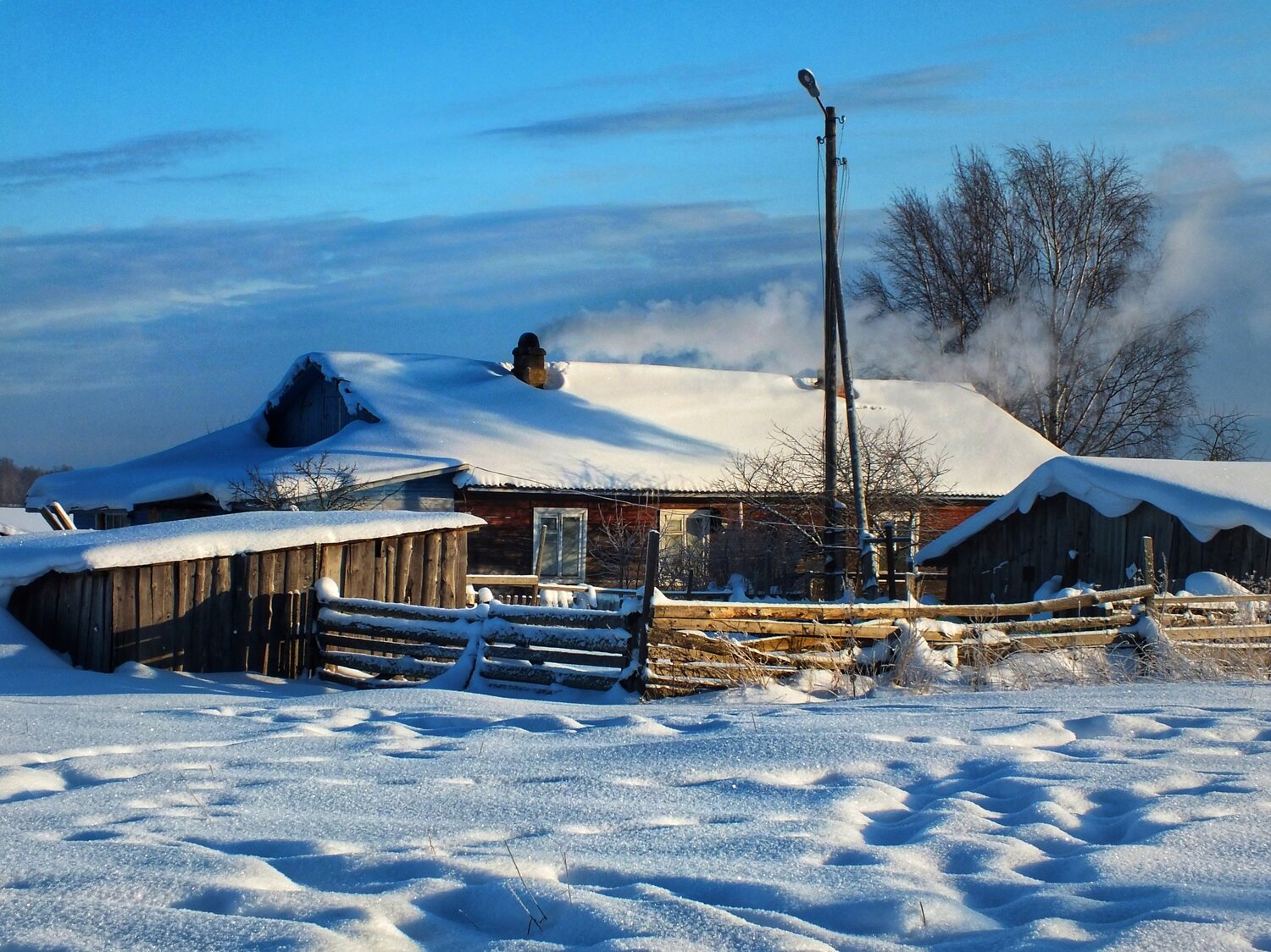 Photo #5529223