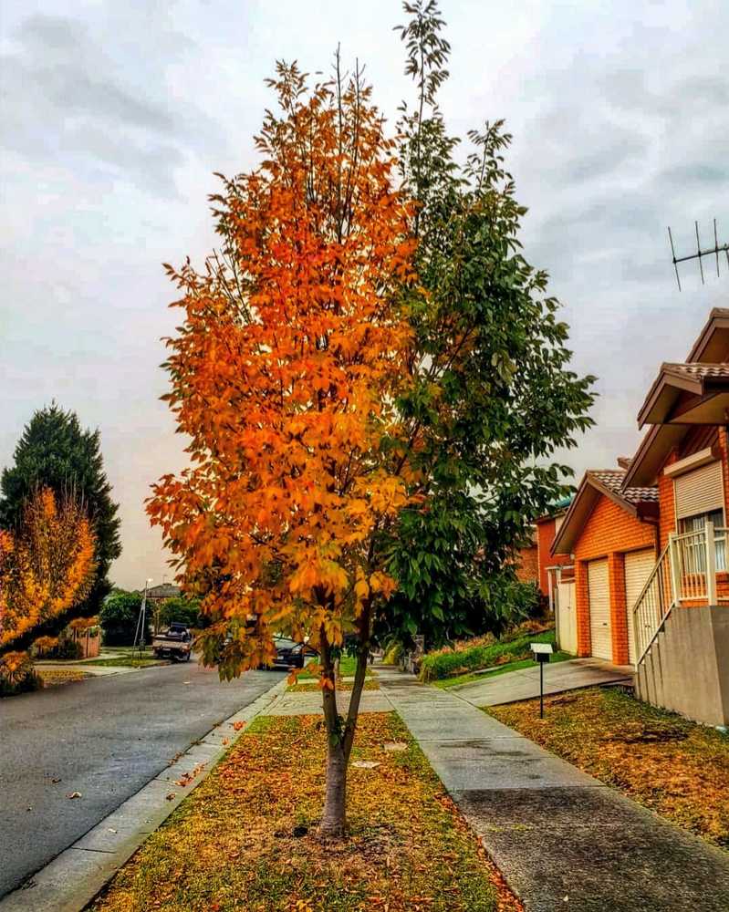 Photograph by Masoumeh Babashahi