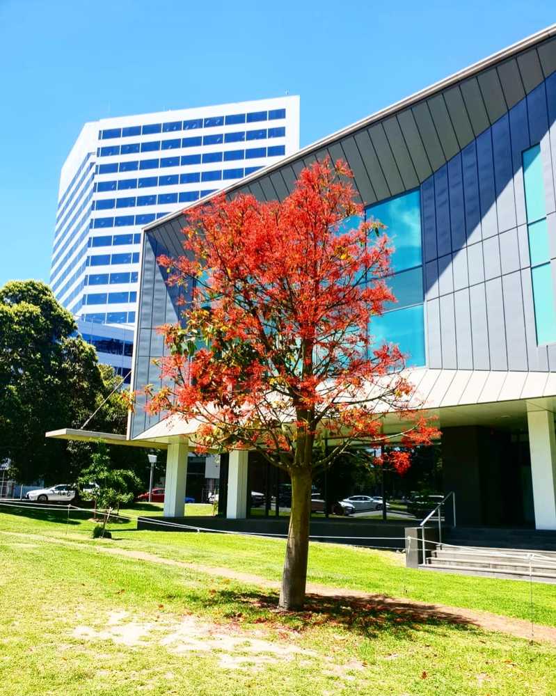 Photograph by Masoumeh Babashahi