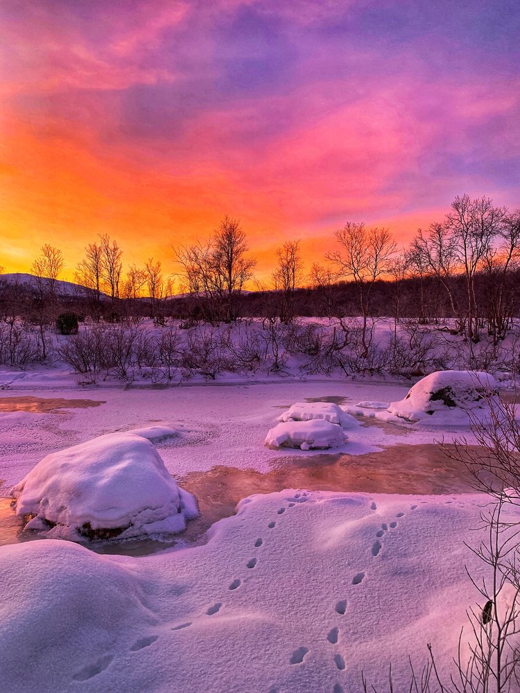 Photograph by Мария Василенко