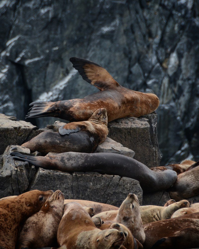 Photograph by Раиса Басова