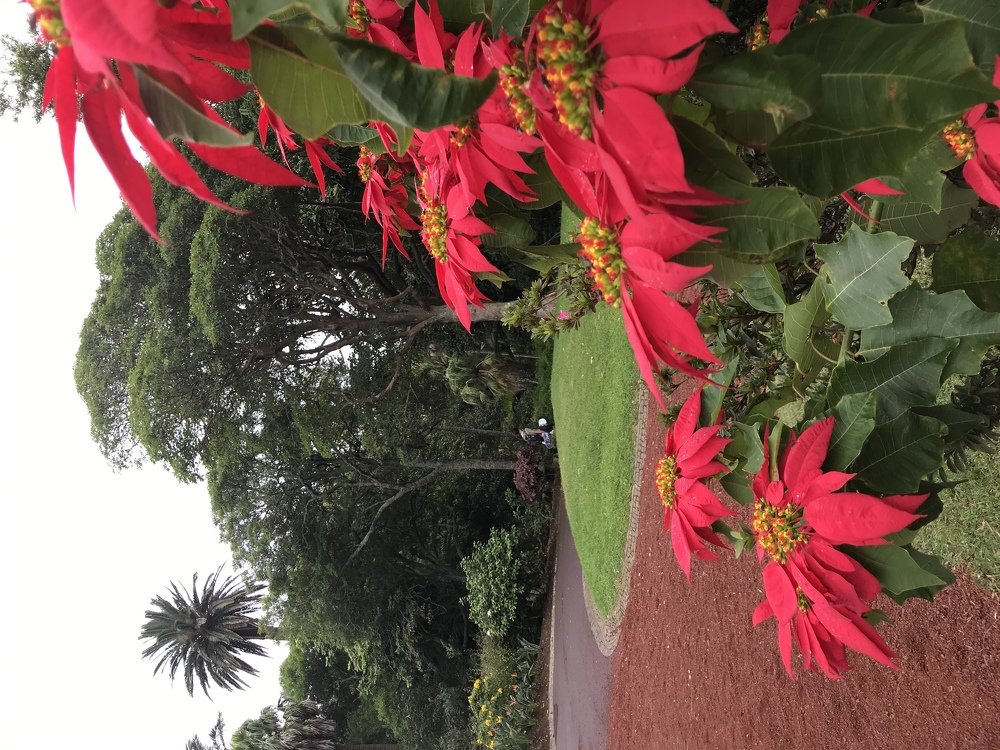 Photograph by Dinar Nigmatullin