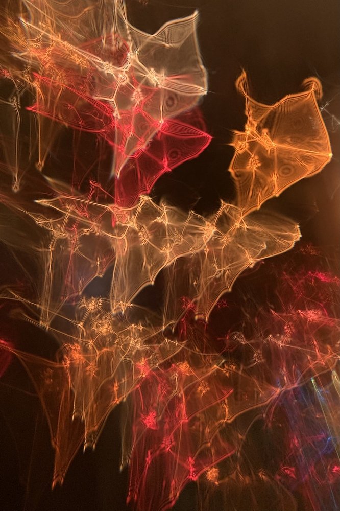 Photograph by Ирина Тимонина