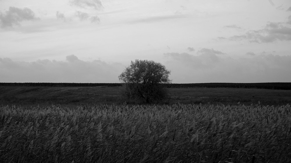 Photograph by Сергей Демидов