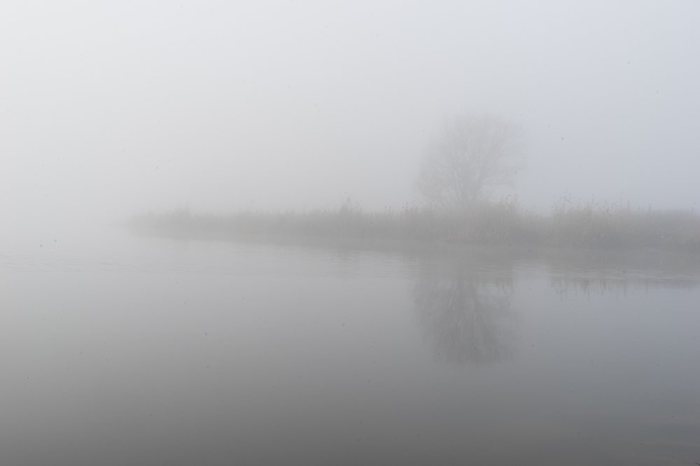 Photograph by Виктор Зотов