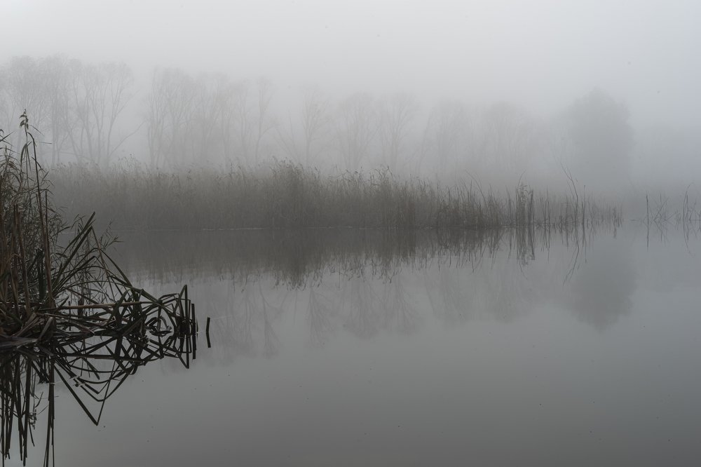 Photograph by Виктор Зотов