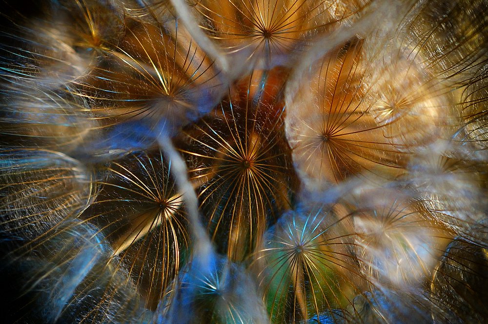 Салют в ночи