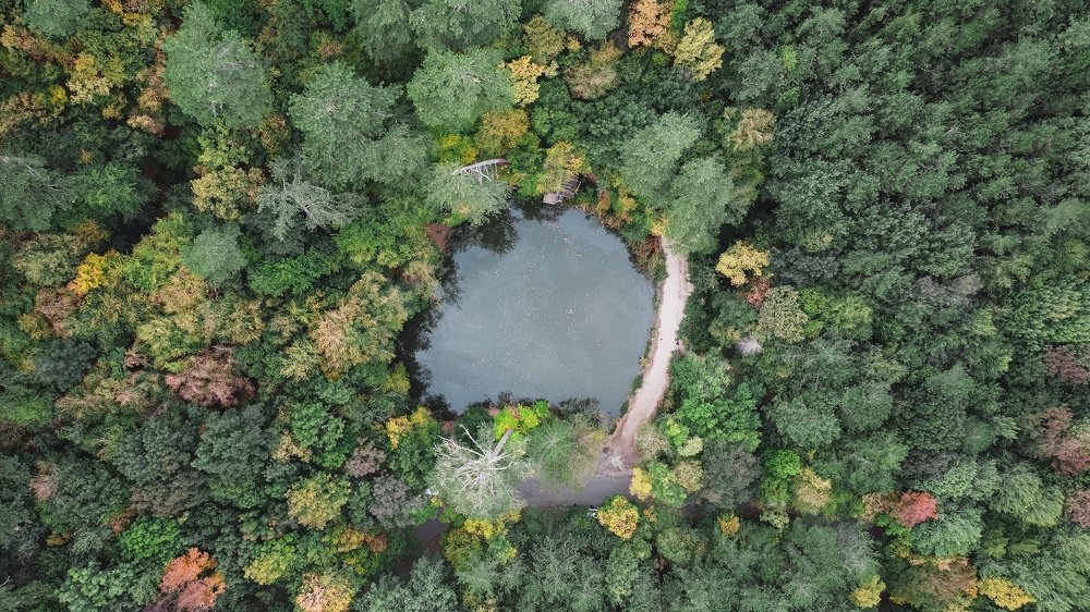 Photograph by Александр Дементьев