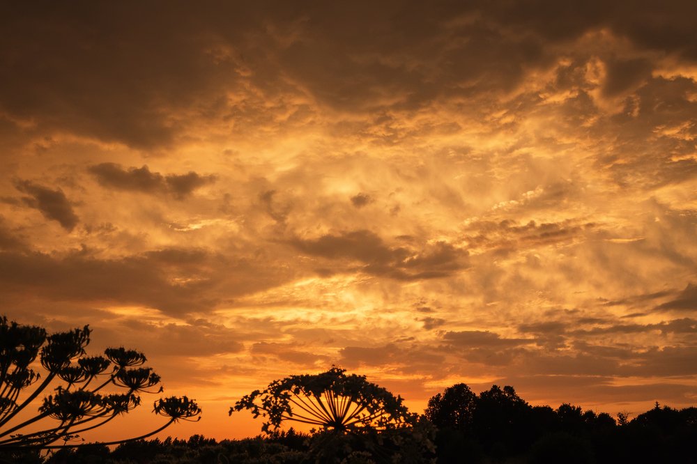 Летний вечер