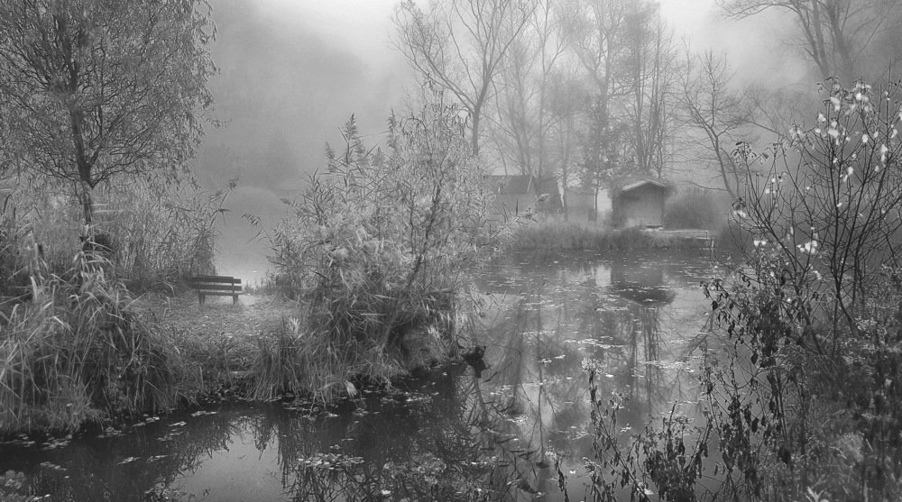 Фотография автора Gabor Dvornik