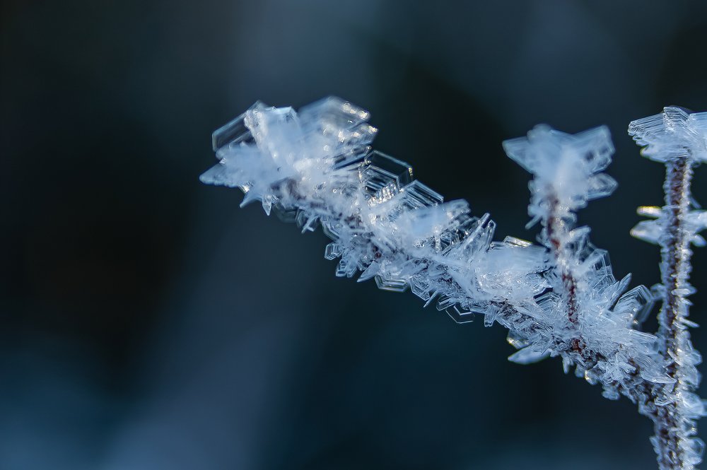Ледяные снежинки