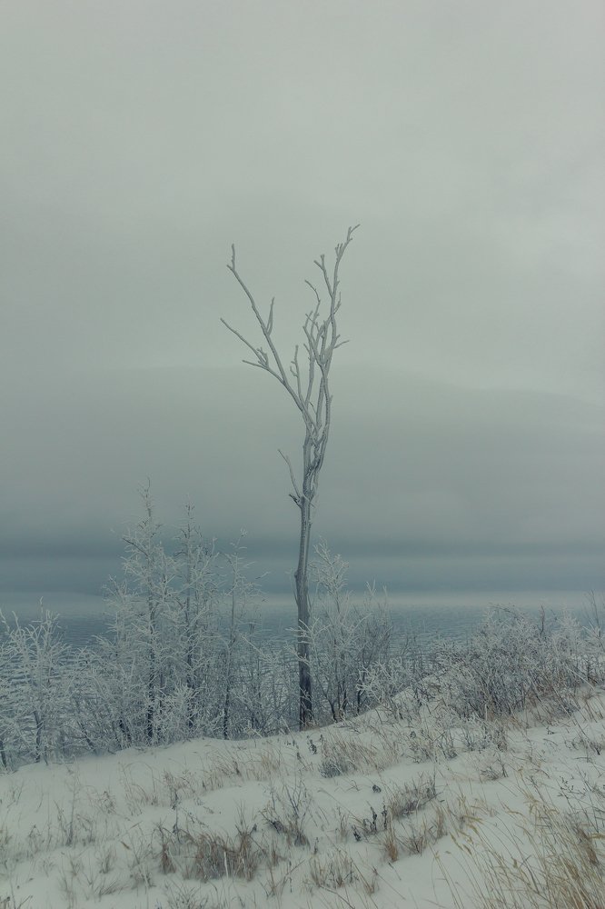 Photograph by Артем Карлов