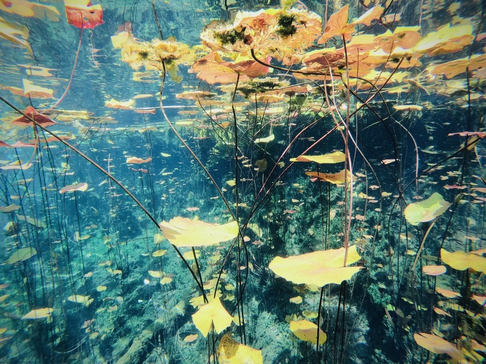 Photograph by Ksenia Mikhailova