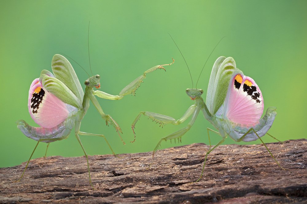 Photograph by way pang