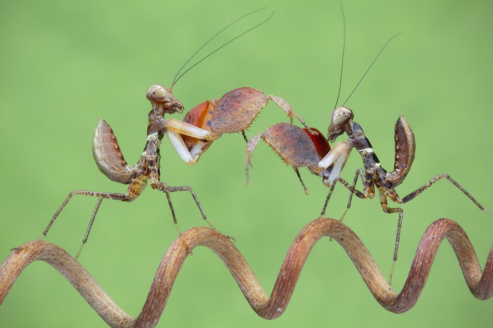 Photograph by way pang