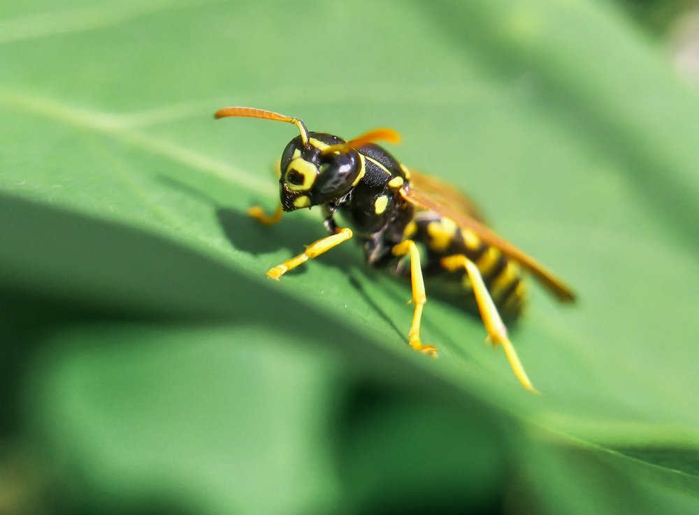 Photograph by Дина Горбачёва