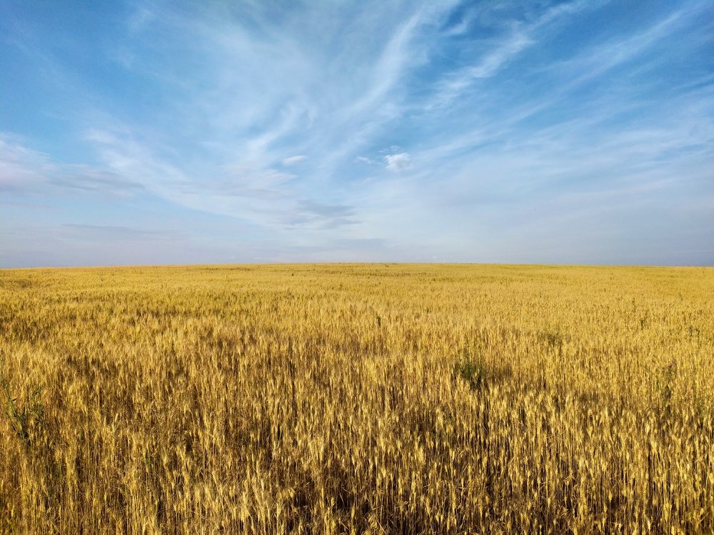 Photograph by Дина Горбачёва