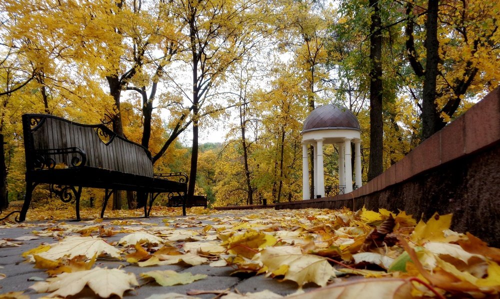 В парке над Сожем