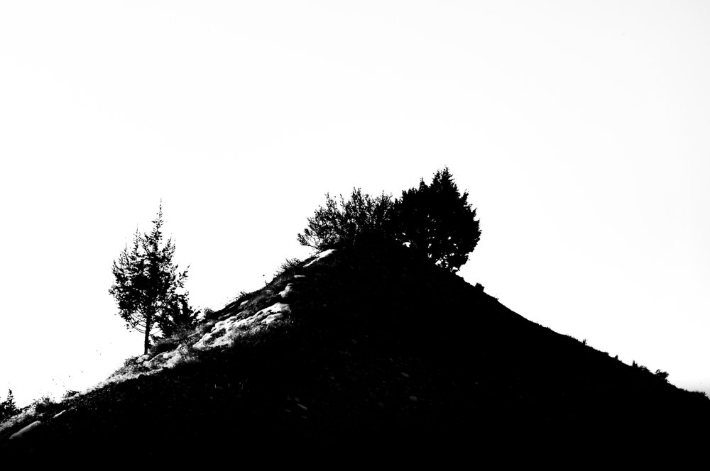 Photograph by Mahdieh Katouzian -