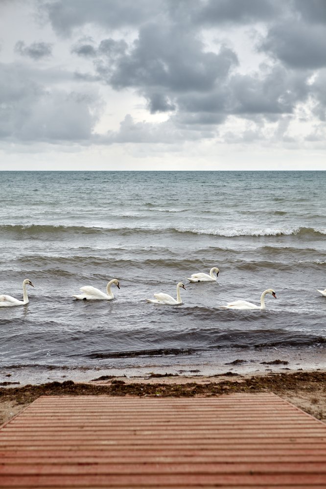 Photograph by Александр Игнатущенко