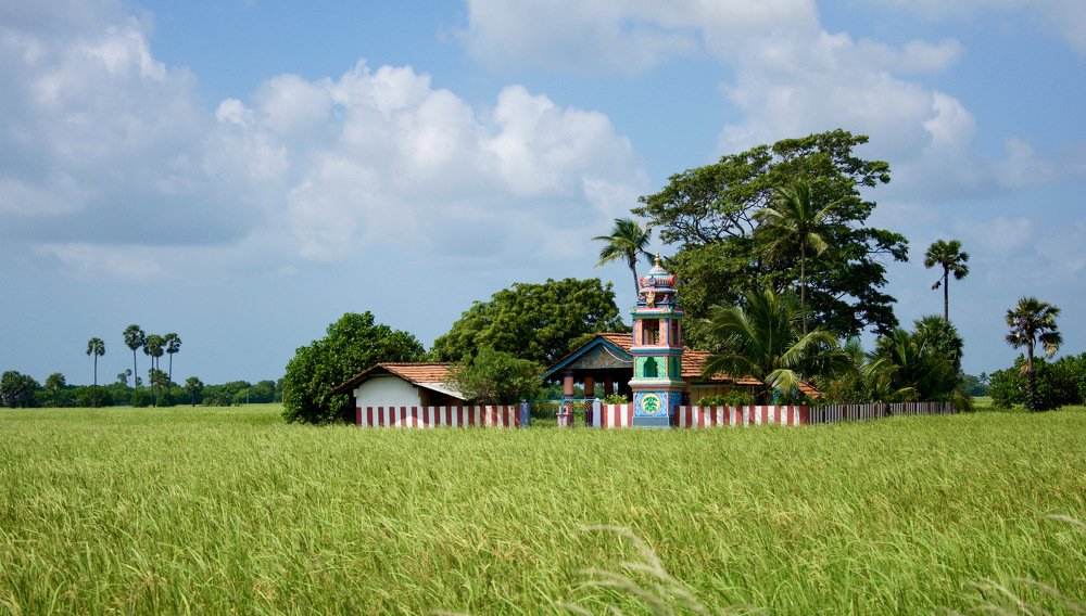 Photograph by Bhavana Sivayokan