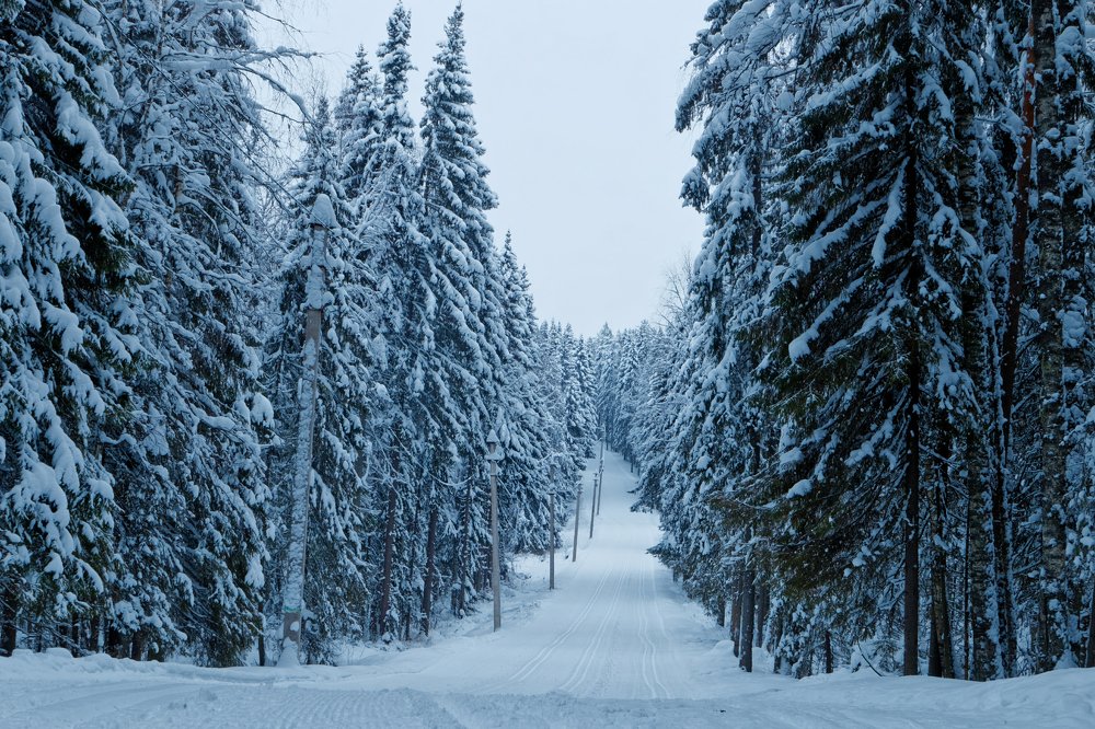 Photograph by Анатолий Калмыков