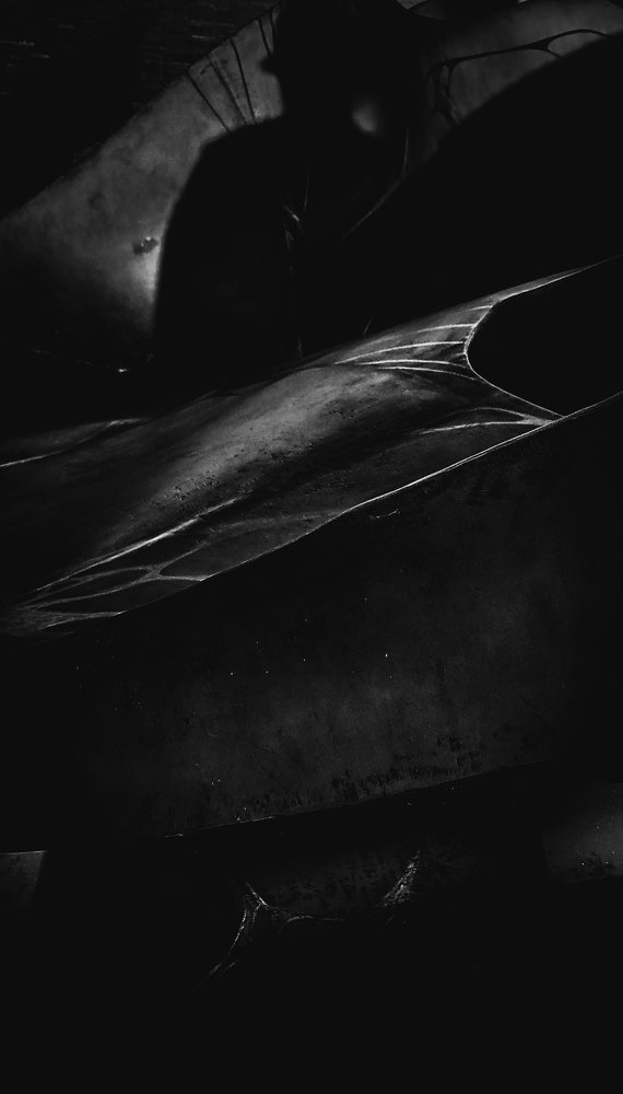 Photo #5530227