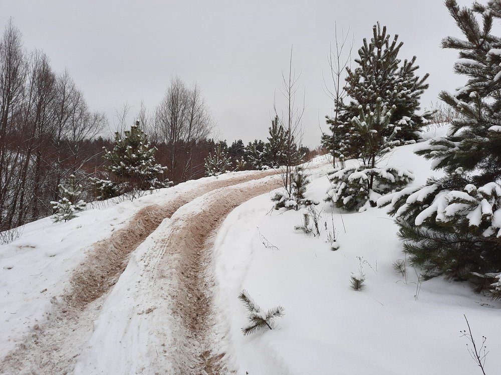 Photograph by Павел Борщев
