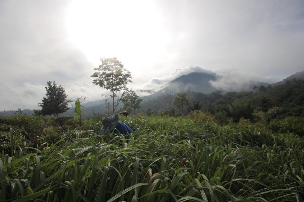 Photograph by Zulfikar ijul